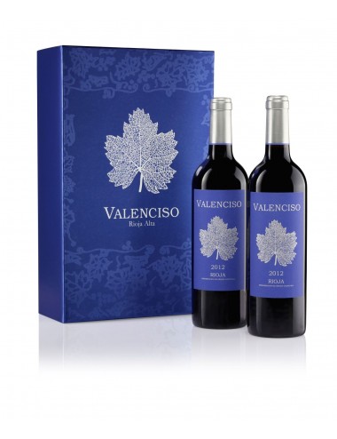 Estuche metalizado 2...