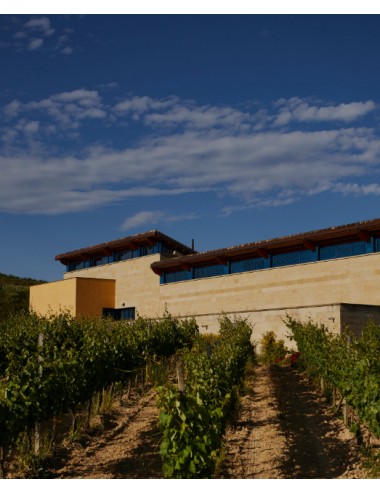 copy of 개인별 견학