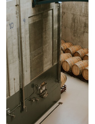 CATA DE VINOS EN DEPÓSITOS...