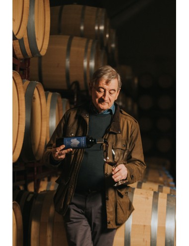 Cata de vinos en barrica