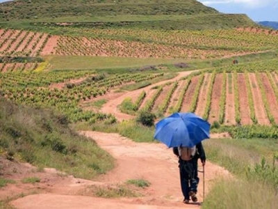 Atractiva Rioja