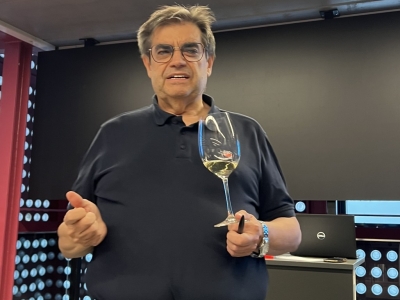 Te proponemos una vuelta al mundo con 6 vinos