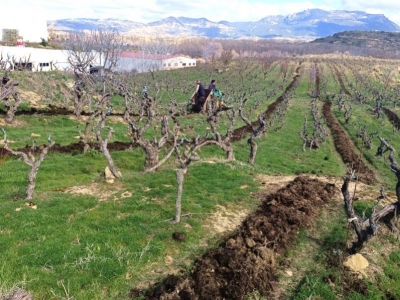 Todo empieza bajo nuestros pies