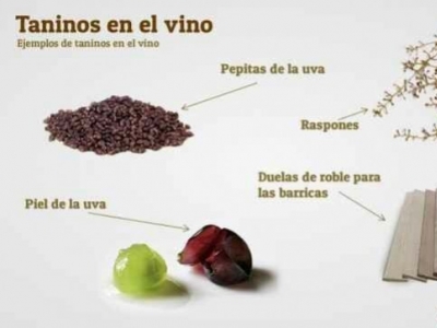 Qué son los taninos del vino